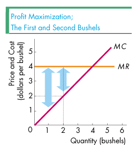 Revenue Curve