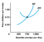 can12005.gif